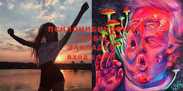 трава Лабытнанги