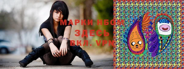 трава Лабытнанги