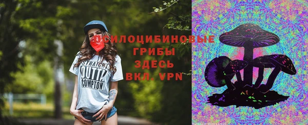 мескалин Ладушкин