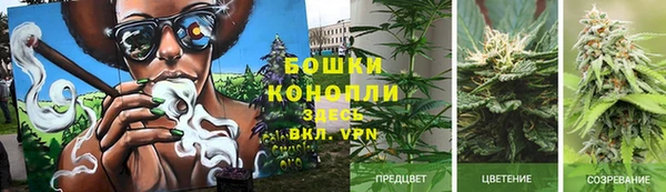 мескалин Ладушкин