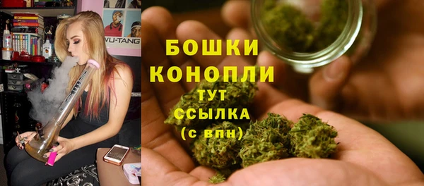 прущие грибы Кулебаки