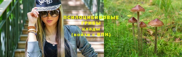 каннабис Куйбышев